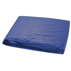 Lona Encerado Polietileno 100 Micras 2m x 2m Azul Kala