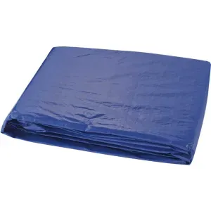 Lona Encerado de Polietileno 200 Micras Azul Worker