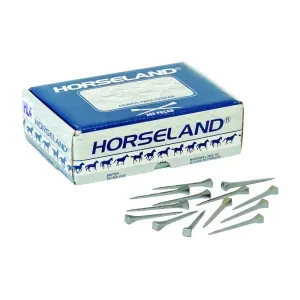 Cravo para Ferrar HL 5 200 Peças Horseland