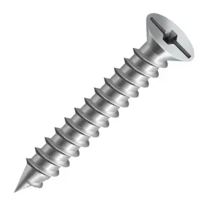 Parafuso Madeira Chata Zincado 5,5x50mm 100 Peças Ciser
