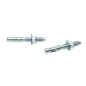 Chumbador Parabolt 5/16x2" 50 Peças Worker