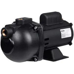 Bomba Autoaspirantes Pratika AP-3C 1/2Cv Dancor
