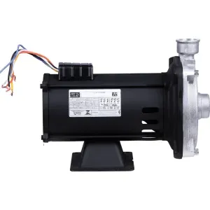 Bomba Centrífuga CAM W-6 3/4Cv Dancor