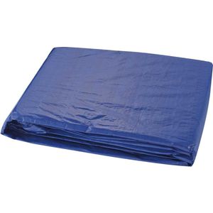 Lona Encerado Polietileno 100 Micras 10m x 4m Azul Kala