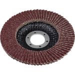 Disco Flap Reto G40 11 Peças Bumafer