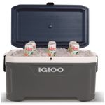Caixa Térmica Latitude Maxcold 66L Igloo